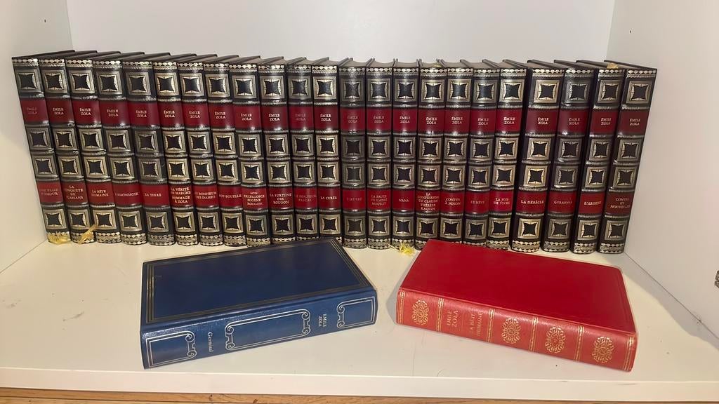 Collection Émile Zola reliures décoratives excellent etat, Livres, Littérature, Comme neuf, Envoi