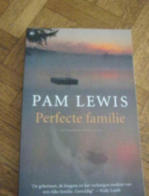 Pam Lewis:Perfecte familie, Livres, Thrillers, Utilisé, Enlèvement ou Envoi