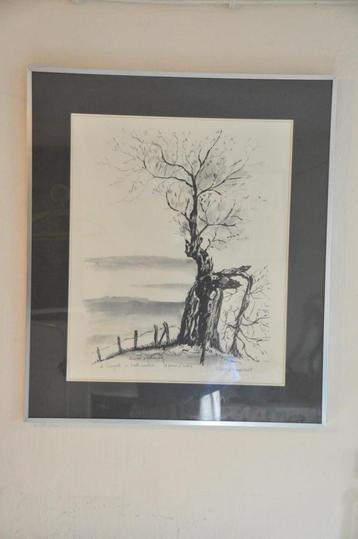 pentekening - aquarel - Julien d'Haeseleer  beschikbaar voor biedingen