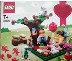 LEGO 40236 Romantic Valentine Picnic, Diversen, Zo goed als nieuw, Ophalen