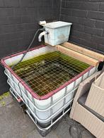 Quarantaine bak met filter, Tuin en Terras, Ophalen, Zo goed als nieuw