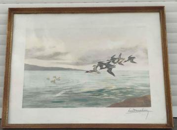 gravure canard signe leon danchin beschikbaar voor biedingen