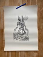 Fotolitographies van Vesalius De Humani Corporis Fabrica