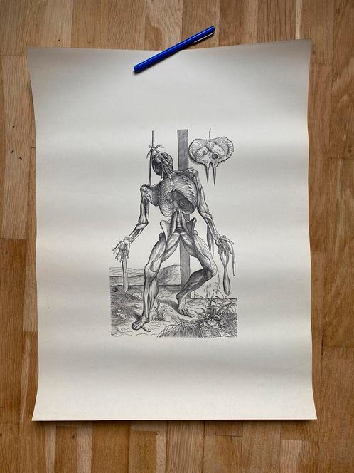 Fotolitographies van Vesalius De Humani Corporis Fabrica, Verzamelen, Posters