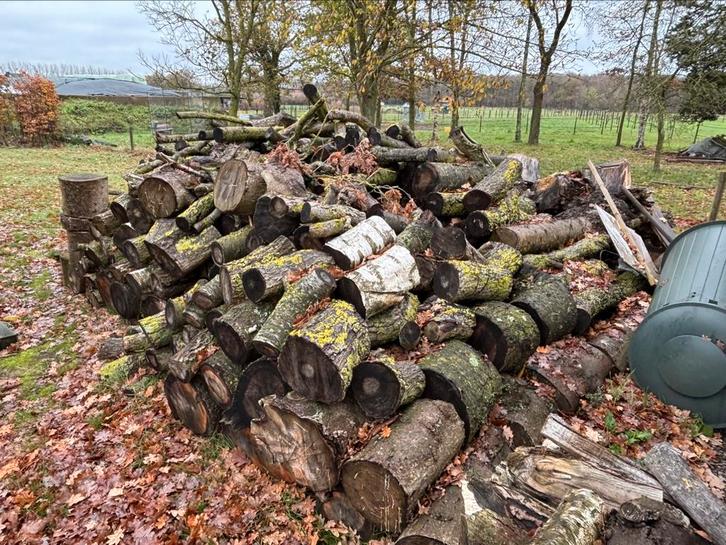 20m3 brandhout. 1jaar oud, Tuin en Terras, Brandhout, Blokken, Ophalen