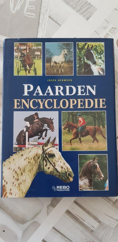 leerboek over paarden, Livres, Livres d'étude & Cours, Neuf, Autres niveaux, Enlèvement