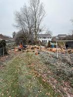 Abattage de precision/ débittage /fendage, Enlèvement ou Envoi