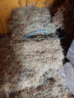 foin de 2025, Ophalen