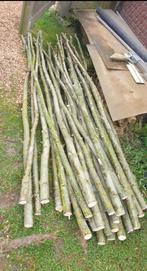 Knotwilg poten, Tuin en Terras, Ophalen