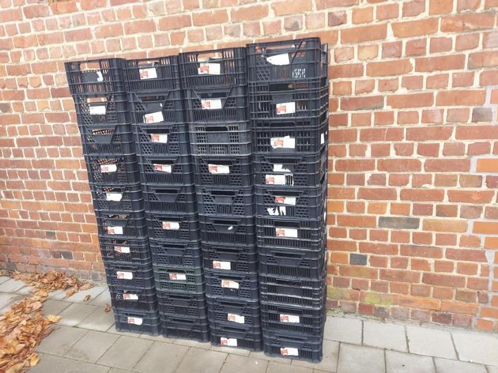 CASI Nature bakken, Tuin en Terras, Overige Tuin en Terras, Zo goed als nieuw, Ophalen of Verzenden