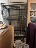 Groot papegaaien kooi, Dieren en Toebehoren, Ophalen, Zo goed als nieuw