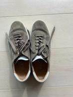 Lage Sneakers voor heren - Tod's, Overige kleuren, Ophalen of Verzenden, Tod's, Sneakers
