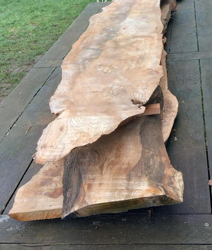 Eiken boomstambladen, Doe-het-zelf en Bouw, Hout en Planken, Nieuw, Plank, Eiken, Ophalen of Verzenden