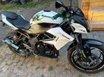 Kawasaki, Motoren, Motoren | Kawasaki, Particulier, Overig