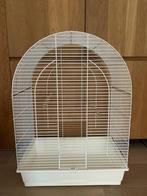 Cage pour les oiseaux, Vogelkooi, Gebruikt, Metaal, Ophalen