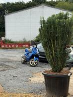 Yamaha Aerox A klasse, Ophalen, Zo goed als nieuw, Aerox
