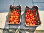 Tomaten, Ophalen