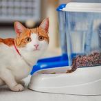 Droogvoerautomaat voor honden en katten | GRATIS LEVERING, Neuf, FERPLAST, -, -