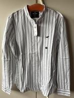 NIEUW, Hollister Wit Overhemd met Grijze Strepen, Kleding | Heren, Overhemden, Overige kleuren, Nieuw, Hollister, Halswijdte 39/40 (M)