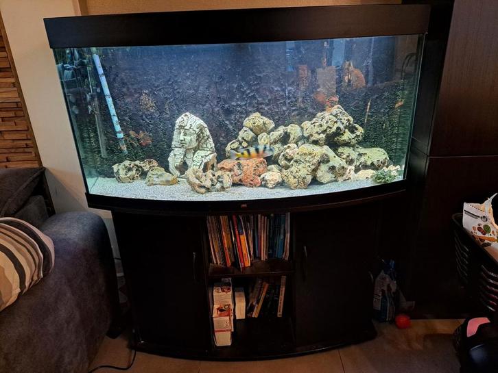 Juwel rio vision 260, Dieren en Toebehoren, Vissen | Aquaria en Toebehoren, Gebruikt, Ophalen