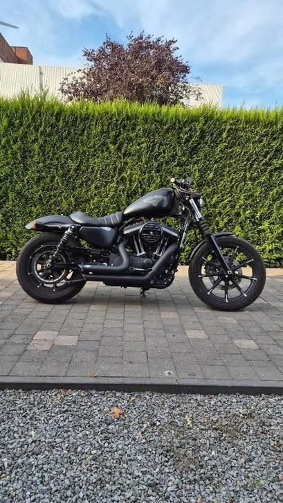 Harley davidson sportster iron 883, Motoren, Motoren | Harley-Davidson, Particulier, Chopper, meer dan 35 kW, Motorrijbewijs A