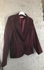 Blazer Terra di Siena, Kleding | Dames, Truien en Vesten, Terra di Siena, Ophalen of Verzenden, Zo goed als nieuw
