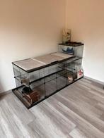2 kooien te koop, Ophalen, Zo goed als nieuw, Kooi, Chinchilla