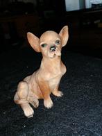 Stenen beeld chihuahua, Ophalen of Verzenden