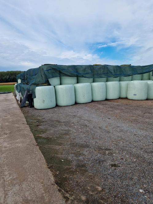 Kleine en grote maisbalen, Zakelijke goederen, Landbouw | Veevoer, Ophalen