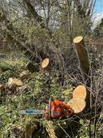 Boompje vellen Stijn bellen. (Gratis), Tuin en Terras, Ophalen