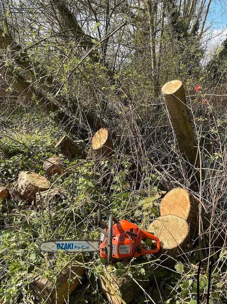 Boompje vellen Stijn bellen. (Gratis), Tuin en Terras, Brandhout, Ophalen