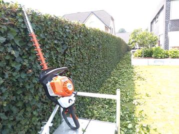 Tuinman voor alle tuinonderhoud en meer. Regio Ninove