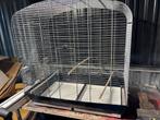 Vogel kooi, Dieren en Toebehoren, Ophalen