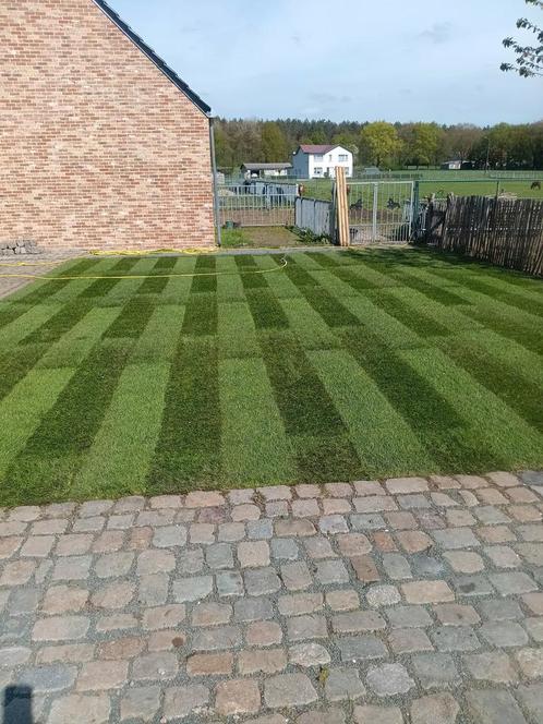 Gazon en tuinwerken, Tuin en Terras, Gras en Kunstgras, Zo goed als nieuw, Gras, Ophalen