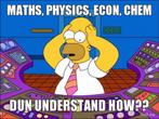 Bijles wiskunde, fysica, scheikunde, economie, statistiek,..