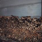 Bois sec de 3ans, 6 m³ ou plus, Enlèvement ou Envoi, Autres essences de bois, Bûches