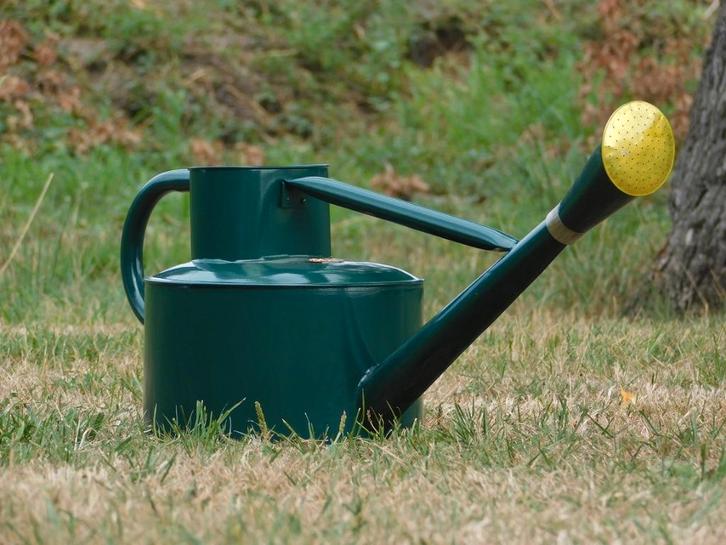 Arrosoir classique - vert foncé - 5L, Jardin & Terrasse, Arrosoirs, Métal, Enlèvement ou Envoi