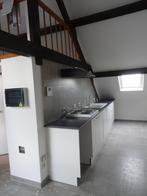 Gerenoveerde loft voor 1 persoon, te Oostende, Immo, Appartements & Studios à louer, 35 à 50 m², Ostende