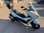 Honda Forza 300, Motoren, Scooter, 300 cc, Particulier, 1 cilinder