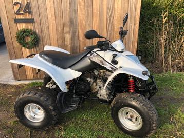 Quad Kymco, 1 cylindre, 250 cm³, Jusqu'à 11 kW
