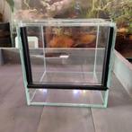 (spinnen) terrarium