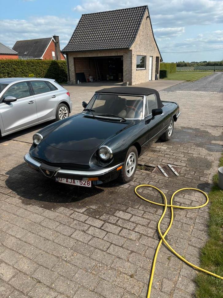 Alfa romeo spider, Auto's, Alfa Romeo, Bedrijf, Spider, Ophalen