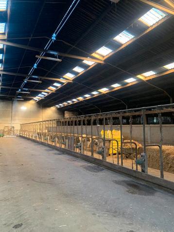 Bindstelsels/bindstal beschikbaar voor biedingen