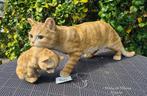 Mama poes met baby, polyester, Tuin en Terras, Ophalen of Verzenden, Nieuw, Kunststof, Dierenbeeld
