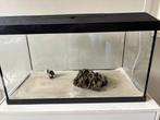 Aquarium 60L + filter en verwarmingselement, Ophalen of Verzenden, Zo goed als nieuw