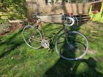 Batavus - koersfiets vintage, Fietsen en Brommers, Ophalen, 10 tot 15 versnellingen, Batavus, Zo goed als nieuw