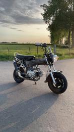 Dax 50cc, Particulier, Overig, 50 cc