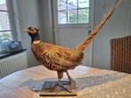Opgezette fazant., Antiek en Kunst, Ophalen