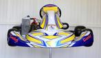 NIEUWE GOLDKART met Rotax Senior EVO II Motor, Sport en Fitness, Ophalen, Nieuw, Kart