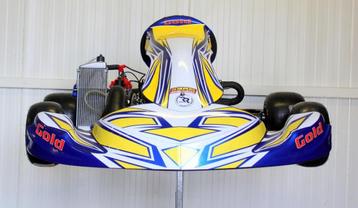 NIEUWE GOLDKART met Rotax Senior EVO II Motor, Enlèvement, Neuf, Kart